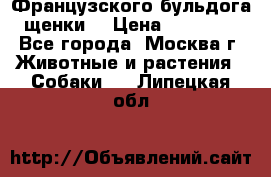 Французского бульдога щенки  › Цена ­ 35 000 - Все города, Москва г. Животные и растения » Собаки   . Липецкая обл.